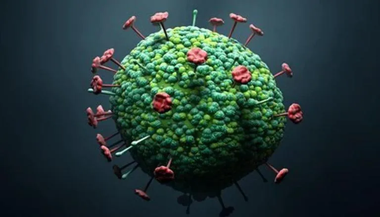 Langya virus